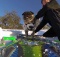 Brandy Pug Snowboarding