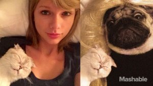 DOUG-THE-PUG-taylor-swift