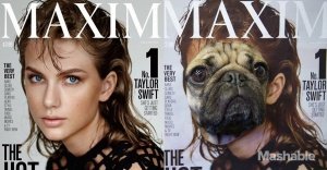 DOUG-THE-PUG-taylor-swift