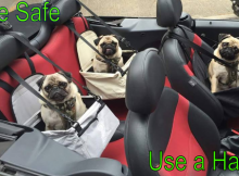 Pug car seats