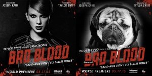 DOUG-THE-PUG-taylor-swift